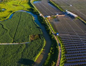 energia-solar-sector-agropecuario